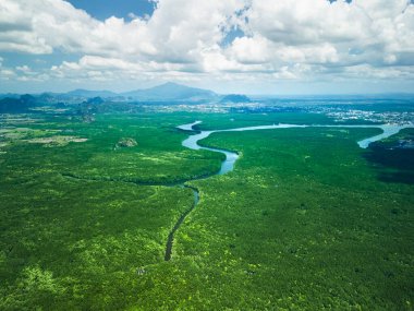 Tayland 'ın başkenti Krabi' nin uçsuz bucaksız bir mangrov ormanından akan dolambaçlı bir nehre ait fotografı. Eko-turizm, seyahat promosyonları ve çevresel kullanım için harika.