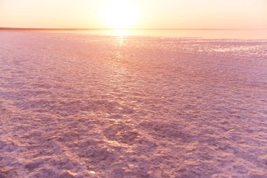 Ukrayna 'daki Syvash Gölü' nün geniş pembe tuz düzlüklerinin üzerinde sakin bir gün doğumu. Doğanın dingin güzelliğini yakalamak, bu yüksek kaliteli görüntü seyahat promosyonları, reklamlar ve