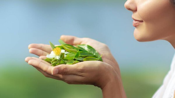 Close-up of a smiling woman holding and smelling fresh tea leaves with a white tea flower in her hands. High quality wellness, nature, and organic lifestyle concept captured in soft natural light.