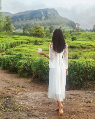 Nuwara Eliya, Sri Lanka 'daki canlı bir çay tarlasında elinde bir fincan çayla yürüyen bir kadının arka görüntüsü. Çevre turizmi, sağlık inzivası ya da barışçıl yaşam tarzı kampanyaları için mükemmel..