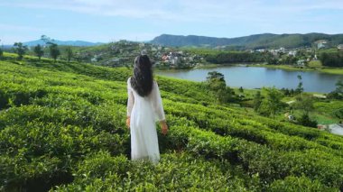 Beyazlı bir kadın Gregory Gölü 'ne bakarken sakin bir çay tarlasının üzerinde süzülen sinematik bir dron görüntüsü. Seyahat, moda ve markalaşma için mükemmel bir görüntü..