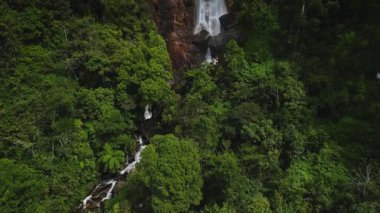 Düzgün bir dikey eğim, Aşıklar Şelalesi 'nin kayalıklardan Sri Lanka ormanına aktığını gösteriyor. Seyahat, keşif ya da sağlık içeriği için çarpıcı bir sinematik çekim..