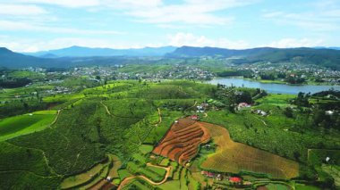 Nuwara Eliya 'nın geometrik çay tarlaları, renkli çatılar ve dağlık alanlarla çerçevelenmiş Gregory Gölü üzerindeki canlı insansız hava aracı görüntüleri. Seyahat, tarım ve görsel haritalar için harika..