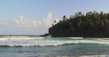 Yüksek kaliteli tropikal görüntüler okyanus dalgalarının Sri Lanka 'daki yemyeşil bir kıyıya vurduğunu gösteriyor. Seyahat, turizm veya rahatlama içeriği için ideal kavramsal ve promosyon dostu doğa videosu.