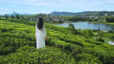 Beyaz elbiseli Asyalı bir kadın canlı çay tarlalarında hareketsiz duruyor Gregory Gölü 'ne ve uzak tepelere bakıyor. Huzurlu, kavramsal bir çekim seyahat veya refah temaları için ideal.