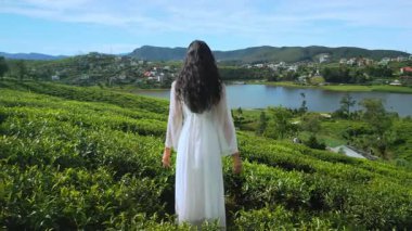 Arka planda Gregory Gölü ve Nuwara Eliya kasabası manzaralı yemyeşil bir çay tarlasını araştıran akıcı beyaz elbiseli genç bir kadın. Kavramsal yüksek kaliteli eko-seyahat görüntüsü.