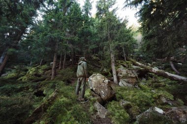 Karpat Dağları 'nda gür yeşillik ve kayalık araziyle çevrili sık bir ormanda yürüyüş yapan bir adamın geniş açılı görüntüsü. Macera seyahati, doğa keşfi ve açık hava yaşam tarzı için mükemmel.