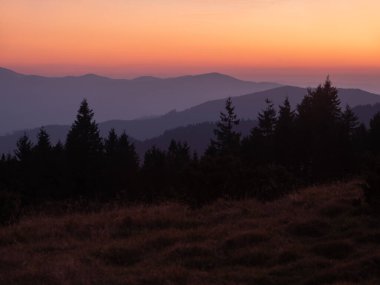 Karpat Dağları 'nın üzerinde nefes kesici bir günbatımı, güzel bir eğimli gökyüzü ve siluetli ağaçlar. Doğa fotoğrafçılığı, seyahat promosyonları ve huzurlu manzara içeriği için mükemmel..
