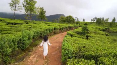 Beyaz elbiseli bir kadının canlı yeşil çay tarlasında kirli bir yolda yürüdüğü sinematik drone çekimi. Seyahat, romantizm ve doğa tanıtım görüntüleri için mükemmel..