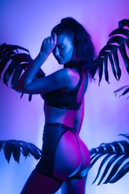 Siyah iç çamaşırlı ve jartiyer kemerli özgüvenli bir modelin, neon mavi ve pembe ışıklar altında tropikal yapraklar arasında poz verişi. Yüksek kalite moda imajı yazı işleri ve gece hayatı temaları için mükemmel.