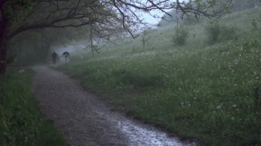 Yağmurlu bir orman yolunda şemsiyesiz koşan bir çift, kötü hava koşullarında doğanın ve arkadaşlığın güzelliğini vurguluyor. Romantizm, doğa ve esneklik temaları için mükemmel.. 
