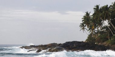 Sri Lanka 'nın verimli palmiye ağaçları ve siyah kayalara çarpan güçlü dalgaların yer aldığı tropik kıyı şeridi, seyahat reklamları, doğa geçmişi, tatil tanıtımları veya egzotik varış noktaları için idealdir..