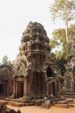 Angkor, Kamboçya 'daki Ta Prohm tapınağının muhteşem manzarası orman ağaçlarıyla çevrili. Seyahat, turizm, kültür ve tarih konsepti tanıtım ve miras reklamları için mükemmel..