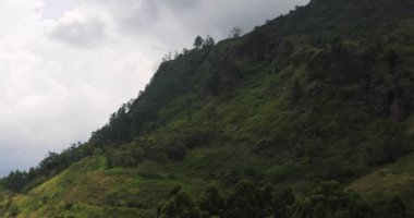 Sri Lanka 'daki yemyeşil dağlardan ve tropikal ormanlardan geçen bir trenin panoramik manzarası. Yüksek kaliteli seyahat görüntüleri turizm, doğa, eko yaşam tarzı ve macera tanıtımları için mükemmeldir..