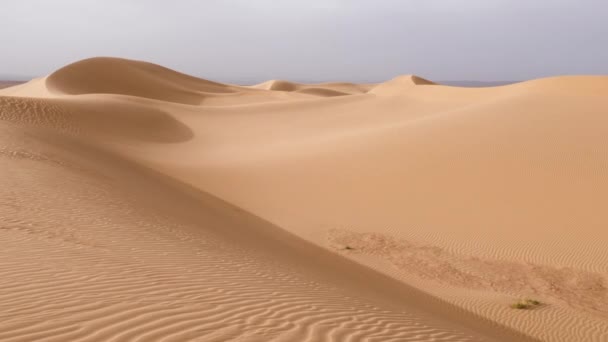 Sahara Desert Sand Dunes Landscapes Mhamid Erg Lihoudi Morocco Nature — Stock Video