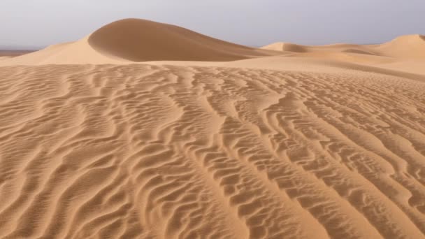 サハラ砂漠の砂丘の風景 ハミッド エルグLihoudi モロッコ 自然背景4K映像 — ストック動画
