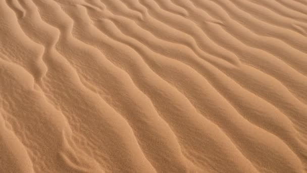 サハラ砂漠の砂丘の風景 ハミッド エルグLihoudi モロッコ 自然背景4K映像 — ストック動画