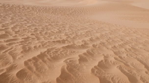 Sahara Öken Sanddyner Landskap Mhamid Erg Lihoudi Marocko Natur Bakgrund — Stockvideo