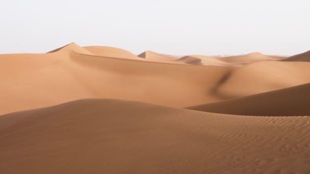 Sahara Öken Sanddyner Landskap Erg Chigaga Marocko Lugn Natur Bakgrund — Stockvideo