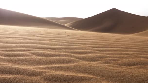 Beautiful Sand Dunes Wind Blowing Sand Backlit Sahara Desert Erg — Stock Video