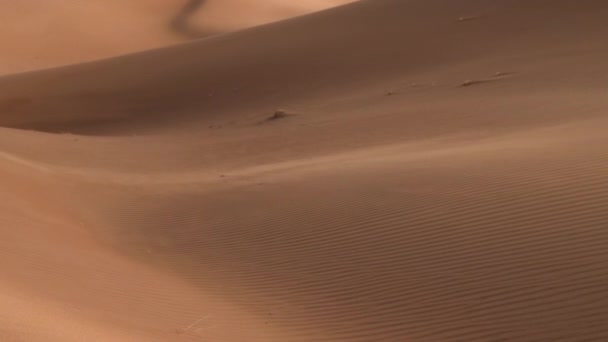 Vackra Sanddyner Med Blåsande Sand Bakgrundsbelyst Saharaöknen Erg Chigaga Marocko — Stockvideo