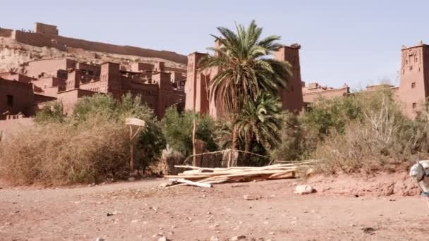 モロッコのKsar Kasbah Ait Benhaddou 古い粘土の家 本物の伝統的な南モロッコのカントリースタイルのアドベ建築を持つ農村 4K映像 — ストック動画