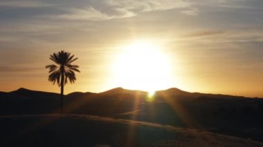 Sahra Çölü 'ndeki kum tepelerinin üzerinde gün doğumu. Merzouga, Fas 'taki Erg Chebbi' de. Serene Doğa 4k arkaplan görüntüleri. 