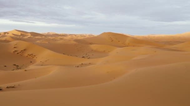 撒哈拉沙漠的沙丘覆盖了Erg Cebbi的风景 摩洛哥Merzouga 自然背景4K镜头 — 图库视频影像
