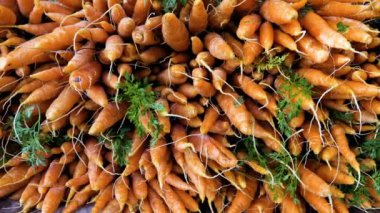 Organic, natural carrots with greens at the Sunday market in Rissani, Morocco. Farmers market vegetables. 4k footage.