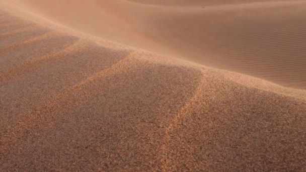 砂丘のパターンの閉鎖は 風が端の上に砂を吹く サハラ砂漠 マミッド エルグ チガガ モロッコ 4K映像 — ストック動画