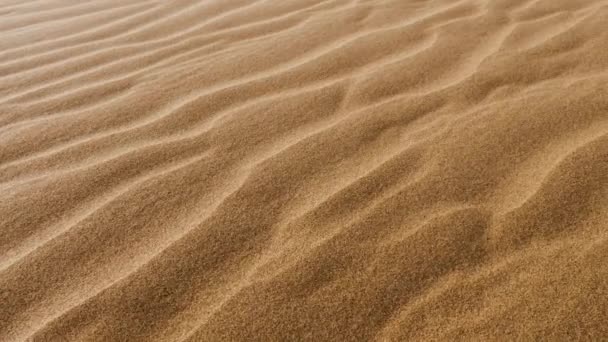 Closeup Sand Dunes Pattern Sahara Desert Mhamid Erg Chigaga Morocco — Stock video