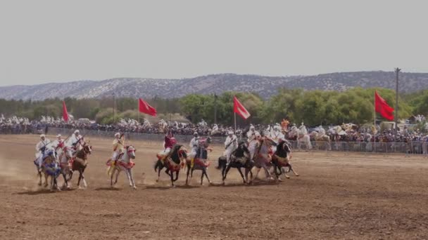 マラケシュ モロッコ 2023年6月10日 ファンタジア TbouridaまたはLab Baroud 伝統的なモロッコ バーバー アラブ馬祭り ユネスコの無形文化遺産に登録されている伝統 — ストック動画