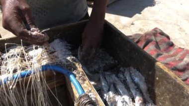 Bir balıkçı Essaouira, Fas 'taki limanda balık yemi hazırlıyor. Daha büyük bir balık yakalamak için balık oltasında sardalya kullanmak. Kırsal liman manzarası. 4k görüntü. 