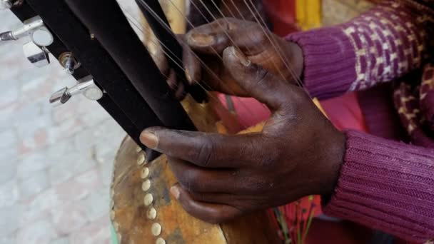 セネガル人男性が伝統的なコラの弦楽器を演奏しています 伝統的なアフリカ アフリカ音楽は 路上で 結婚式やフェスティバルでしばしば演奏された 4K映像について — ストック動画