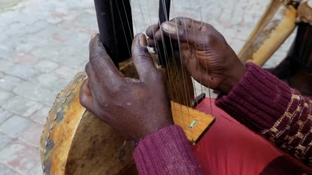 一个塞内加尔人演奏传统的科拉弦乐器 传统的非洲裔音乐经常在街头 婚礼和节庆中演奏 4K镜头 — 图库视频影像