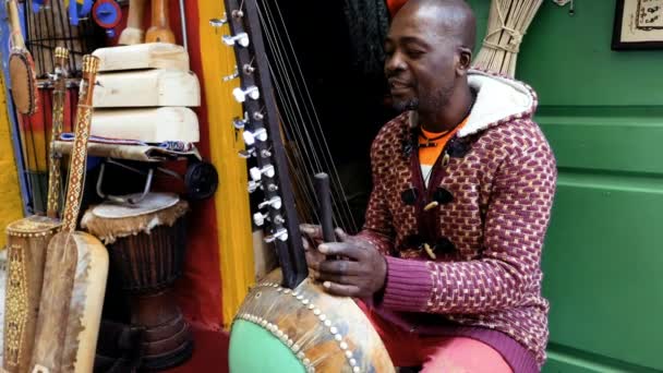 Сенегарец Играет Традиционном Кора Струнном Инструменте Традиционная Афро Африканская Музыка — стоковое видео