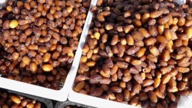 Taze toplanmış Fas tarihleri. Geleneksel çarşıda, Fas, Rissani 'deki pazarda. Medjool tarihleri, sağlıklı yiyecek atıştırmalıkları, yüksek miktarda vitamin ve protein. 4k yemek arkaplan görüntüsü.