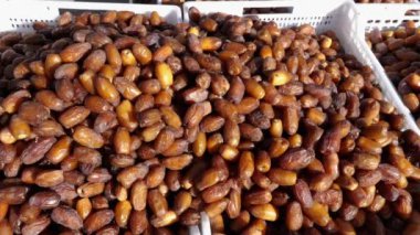 Taze toplanmış Fas tarihleri. Geleneksel çarşıda, Fas, Rissani 'deki pazarda. Medjool tarihleri, sağlıklı yiyecek atıştırmalıkları, yüksek miktarda vitamin ve protein. 4k yemek arkaplan görüntüsü.