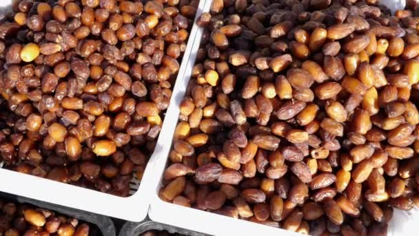 Färska Skördade Marockanska Datum Traditionell Souk Datummarknaden Rissani Marocko Medjool — Stockvideo