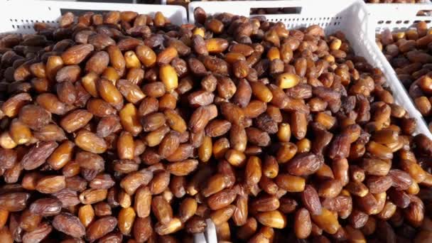 Fresh Harvested Moroccan Dates Traditional Souk Dates Market Rissani Morocco — Stock Video