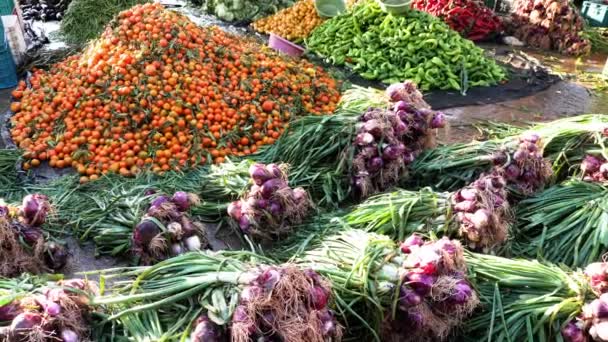 Warna Pasar Minggu Tradisional Dengan Tumpukan Buah Buahan Dan Sayuran — Stok Video