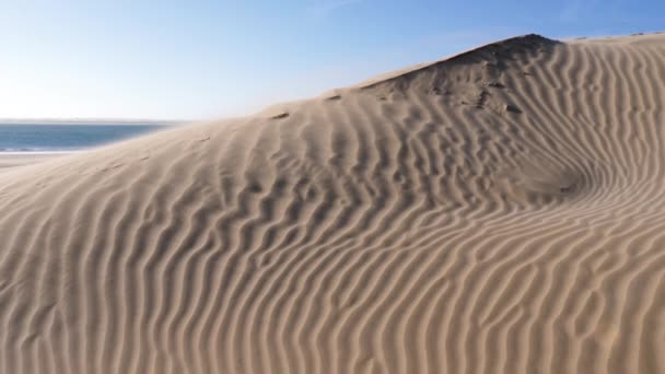 Forte Vento Soffia Sabbia Sopra Cresta Una Duna Sabbia Verso — Video Stock