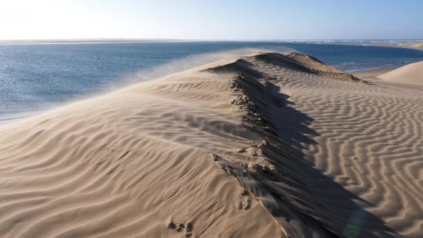 大风把沙子刮过沙丘的山脊 吹向大海 Lac Naila是摩洛哥Kheniffis国家公园的撒哈拉沙漠与大西洋交界处 4K自然景观背景镜头 免版税图库视频