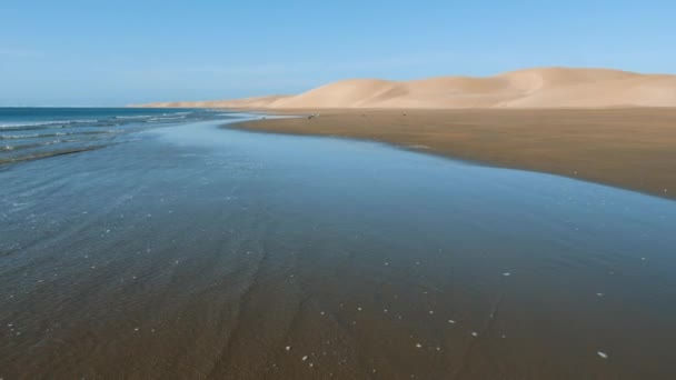 美丽宁静的沙丘和沙滩 沙滩上有脚印 在撒哈拉沙漠与大西洋相遇的地方 Lac Naila 摩洛哥Kheniffis国家公园 4K自然景观背景镜头 图库视频