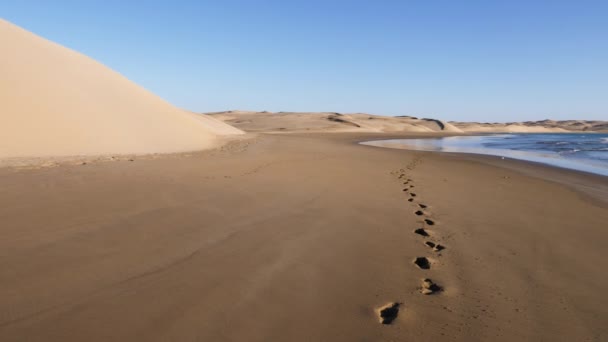 砂に足跡のある美しい穏やかな砂丘とビーチ サハラ砂漠が大西洋 ラッキーナイラ 国立公園ケニフス モロッコを満たしている場所 4K自然景観の背景映像 — ストック動画