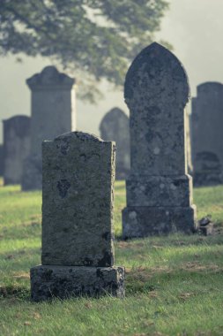 Şafak vakti sisli kadim bir mezarlık