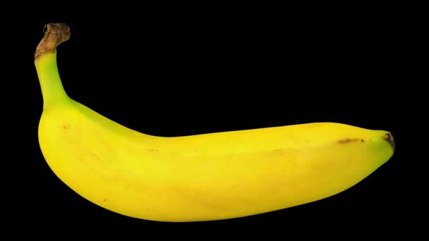随着时间的流逝 随着时间的流逝 随着时间的流逝 一只香蕉变成了褐色 并有了阿尔法通道 图库视频片段