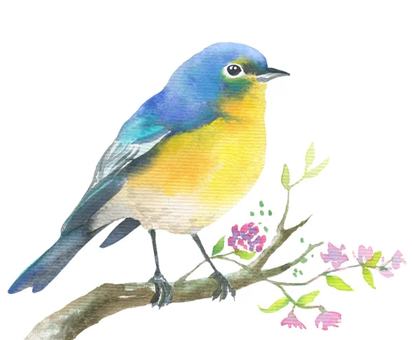 美しい青い鳥の水彩画 白い背景に小さな花が孤立した小枝に座っているブルーテール — ストック写真