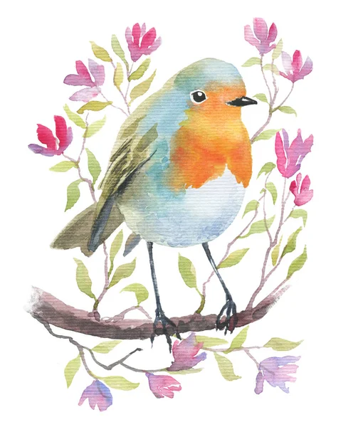 Akwarela Ręcznie Rysowane Ilustracja Małego Rubinu Ptaka Gałązce Małymi Kwiatami — Zdjęcie stockowe