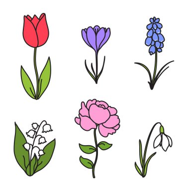 Çocuklar için altı tane erken bahar çiçeği çizimi, Kardamlası, Crocus, Hyacinth, Tulip, Şakayık, Zambak